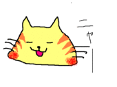 あおい