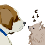 とうの