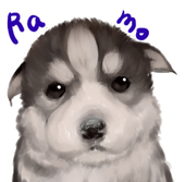 Ramo