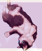 わはは