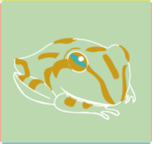 ので