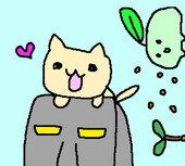 こずぼう