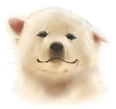 ヤマたけん