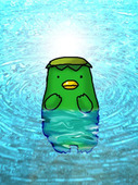 たぬき