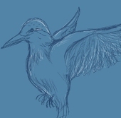 山吹