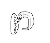 しらす