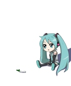 ナマモノ