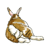 ホッパー