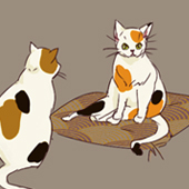 しろまめ