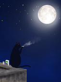 akineko