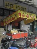 旋回猫