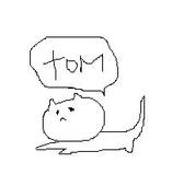 tom
