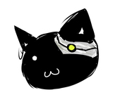 メタ猫