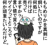 はにう＠もいぬ