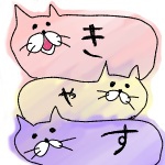 きゃす