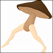 すぺぺぺ