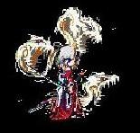 Ct.Rucky