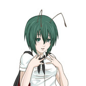 てむじん