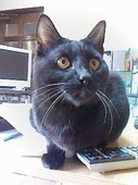 まっぴー