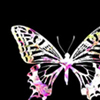 LuLuinochi