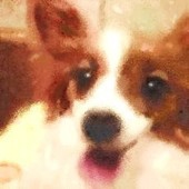 ゆーか・△・