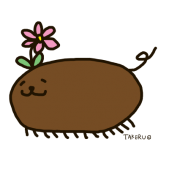 大和タケル