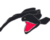 真魚