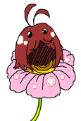 はし子