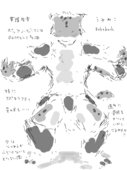 大橋みかん