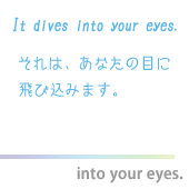 into your eyes.