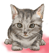 にゃんこ侍β
