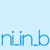 ni_in_b