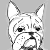 ぼすこ
