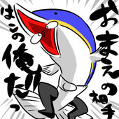 天然 鰤