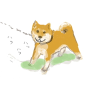 モリ