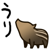 machi