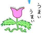 煙草屋