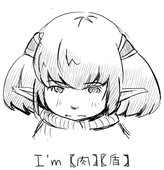 kaidann14