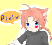 黒猫