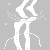 氧休
