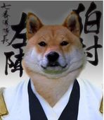 憨八嘎
