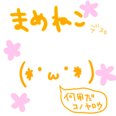 まめねこ