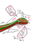 はく