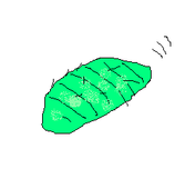 雷音