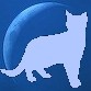 青っぽい猫