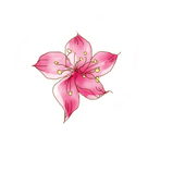 qiao