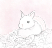 るなしま