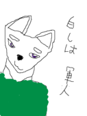 ユウ＠柴犬P