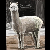 kotton