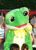 たこあさみ